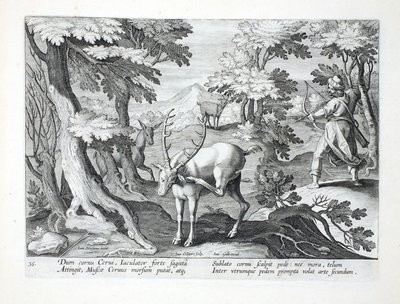 As a deer scratches its antlers with its foot, a hunter, with both feet forward, shoots an arrow through the air, illustration from 